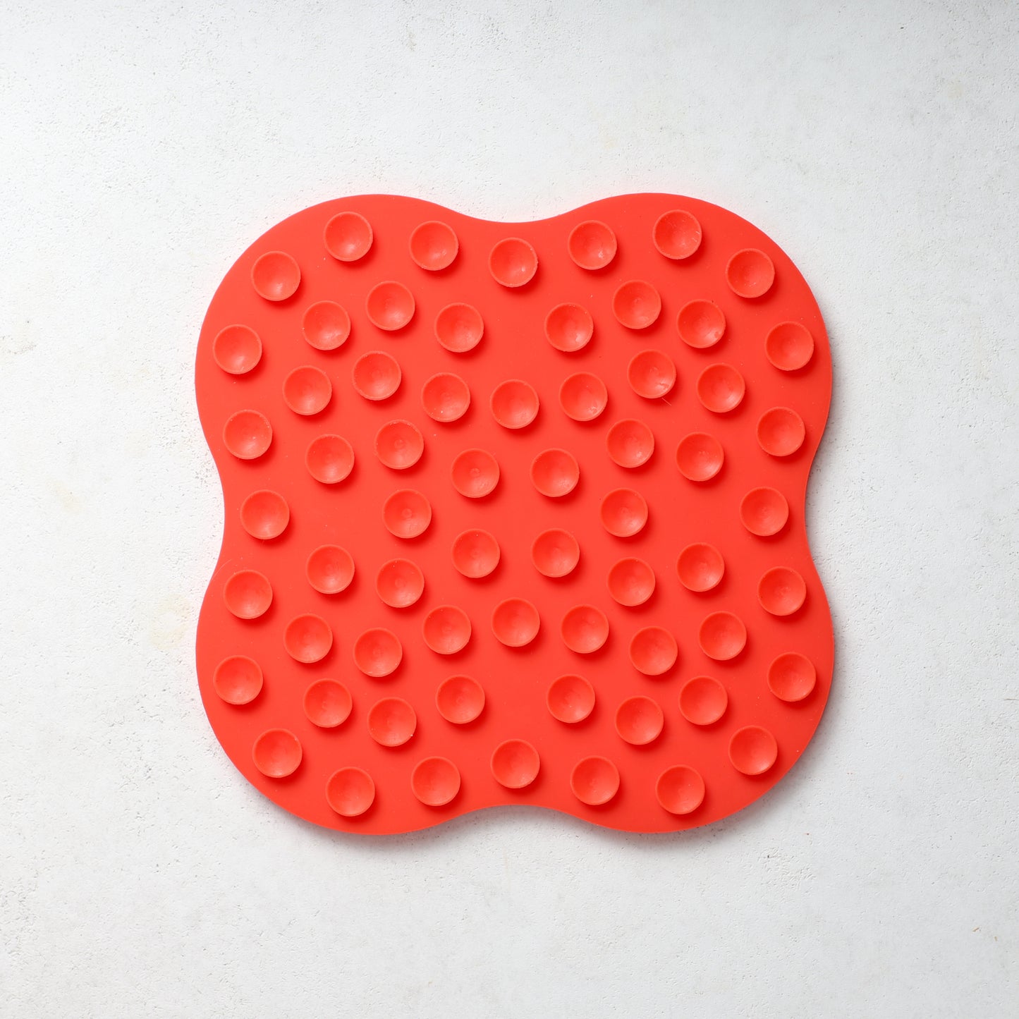 The Forever Dog Life - PREORDER BONUS Lick Mat and Cookie Cutters