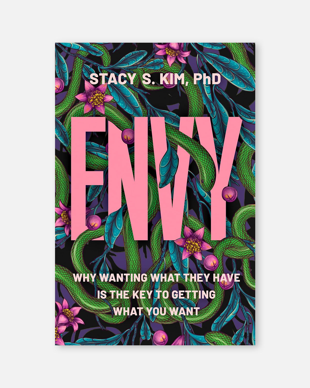 Envy
