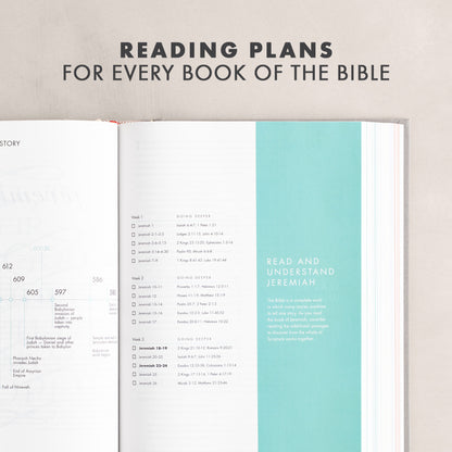 CSB She Reads Truth Bible, Gray Linen Cloth Over Board