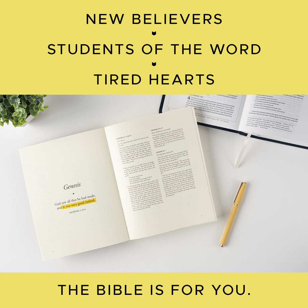 The Bible Is for You