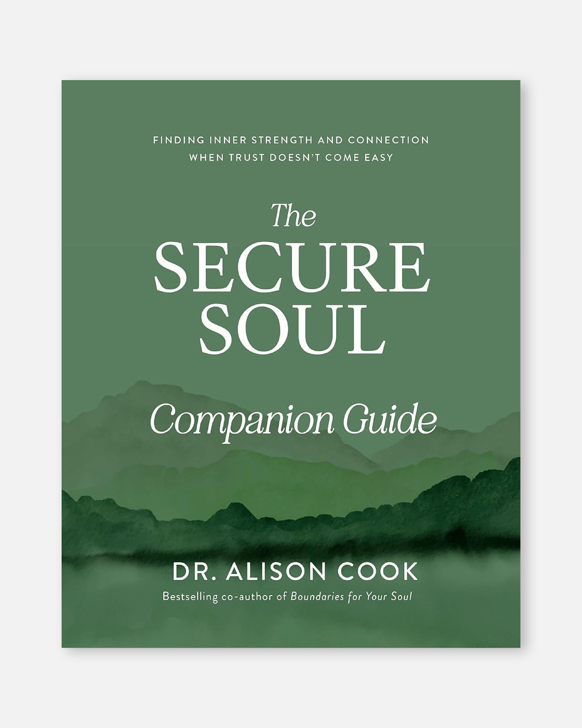 The Secure Soul Companion Guide