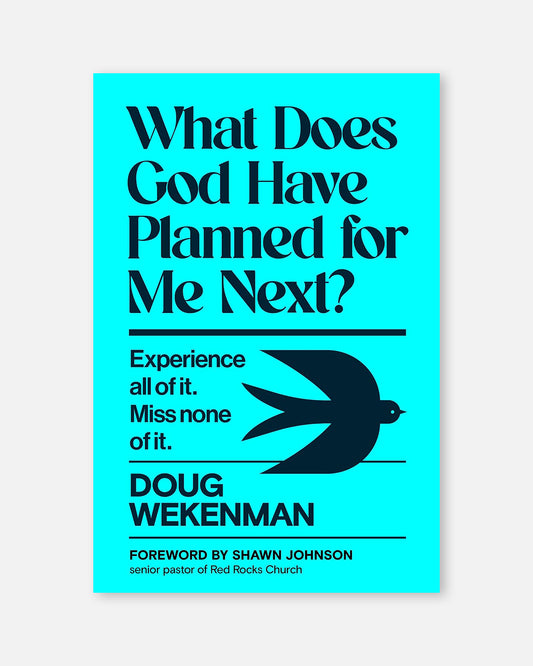 What Does God Have Planned for Me Next?