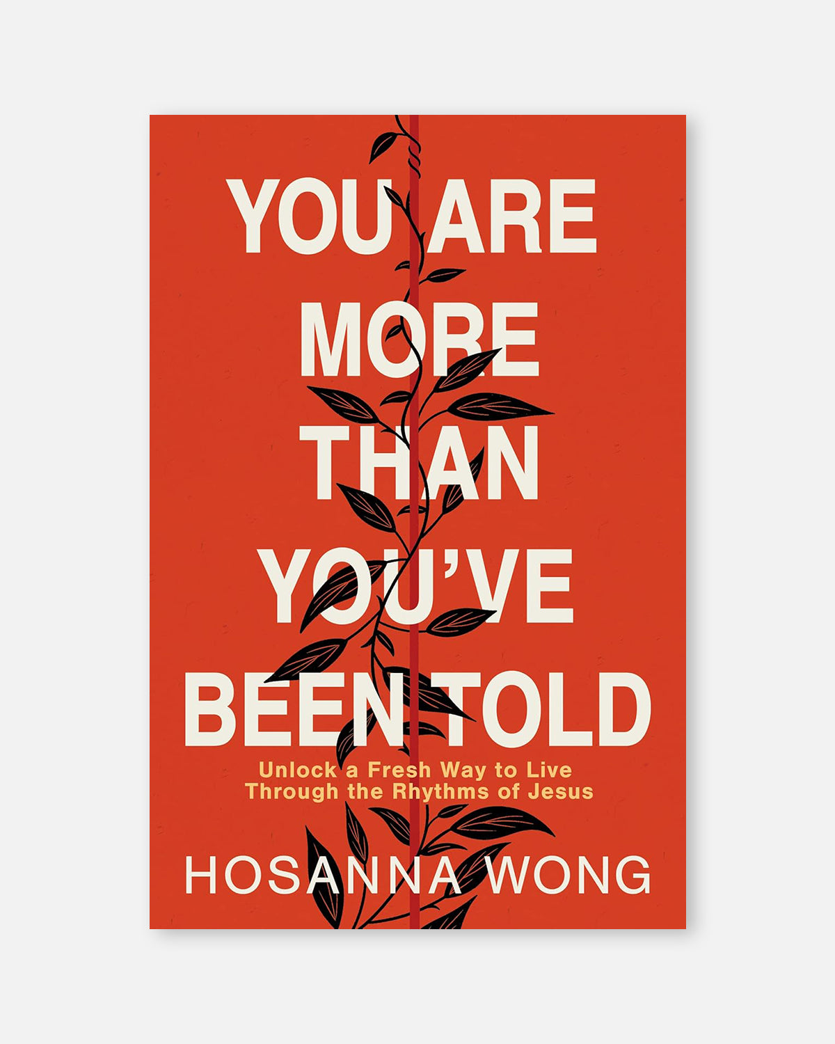 You Are More Than You've Been Told