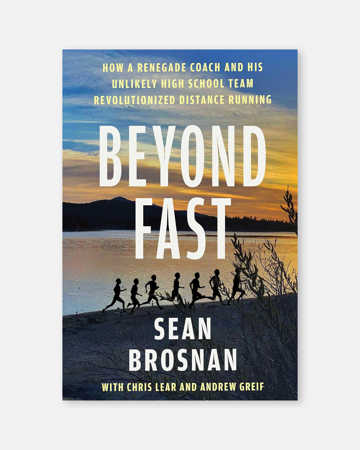 Beyond Fast - Paperback