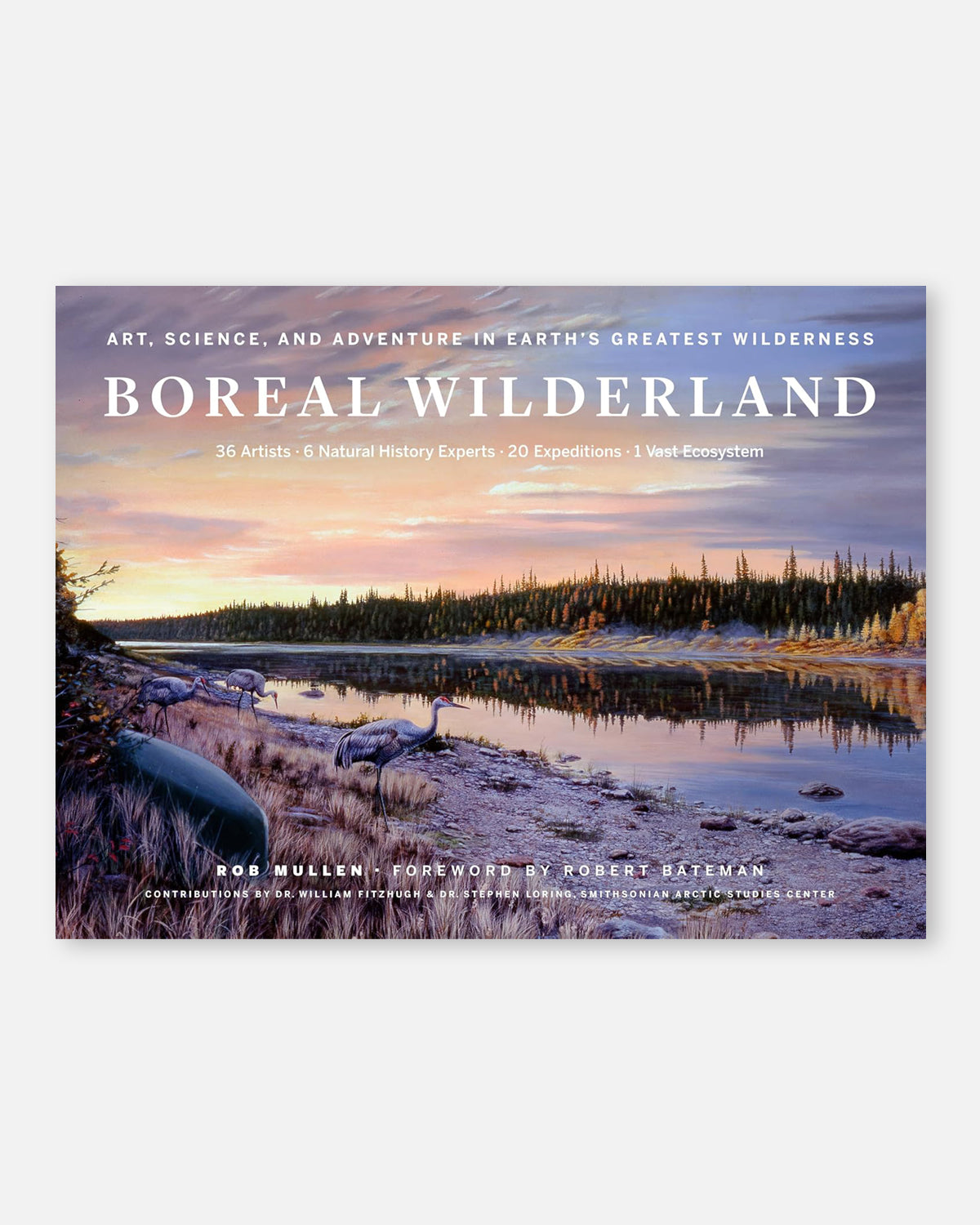Boreal Wilderland