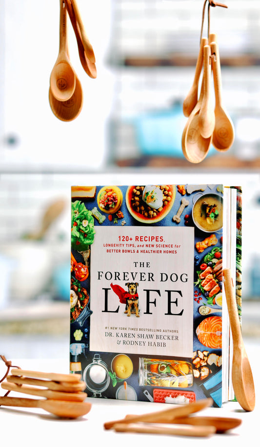 The Forever Dog Life - PREORDER BONUS Measuring Spoon Set